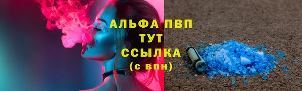 шишки Алзамай
