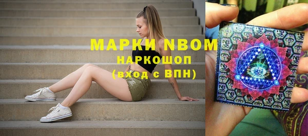 шишки Алзамай