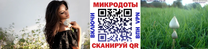 магазин продажи наркотиков  Малоархангельск  Псилоцибиновые грибы мухоморы 